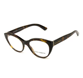 Óculos Dolce & Gabbana DG3246 502 53 - Grau