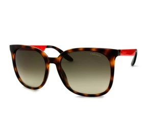 Carrera 5004 DVQCC