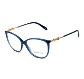 Óculos Tiffany & Co TF2143-B 8192 55 - Grau