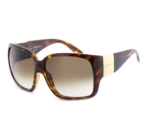 Óculos Evoke Power Flower Turtle Grilamid Gold Brown Gradient