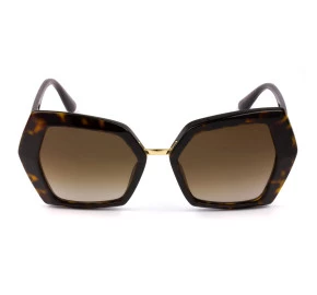 Dolce & Gabbana DG4377 Turtle/Marrom 502/13 54mm - Óculos de Sol