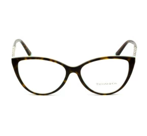 Óculos Tiffany & Co.TF2214-B Turtle Brilho 8134 55mm