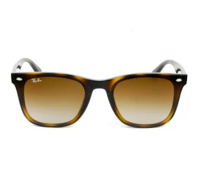 Óculos Ray Ban RB4420 Havana Marrom Degrade 710/13 65mm