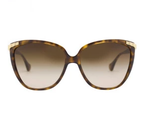 Dolce&Gabbana DD 8096 502/13 Marrom Degradê