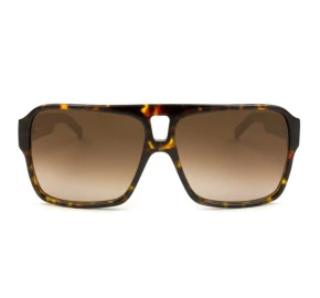 Óculos Evoke EVK 09 Demi Acetate Gold  Brown Gradient