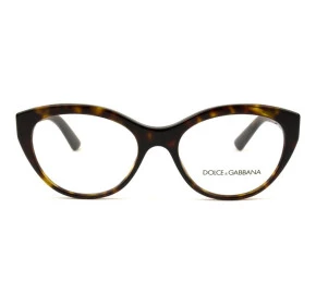 Óculos Dolce & Gabbana DG3246 502 53 - Grau