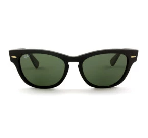 Ray-Ban RB4169 601 53 Laramie