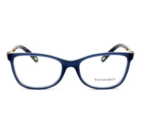 Óculos Tiffany & Co TF2151 8192 54 - Grau