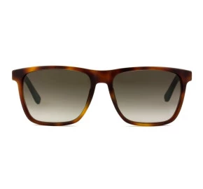 Tommy Hilfiger TH1322/S - Turtle/Marrom Degradê 0I1HA 55mm - Óculos de Sol